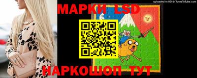 прущие грибы Чебоксары