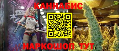 прущие грибы Чебоксары