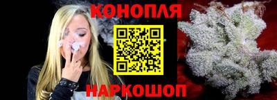 прущие грибы Чебоксары