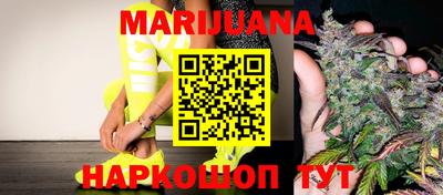 прущие грибы Чебоксары