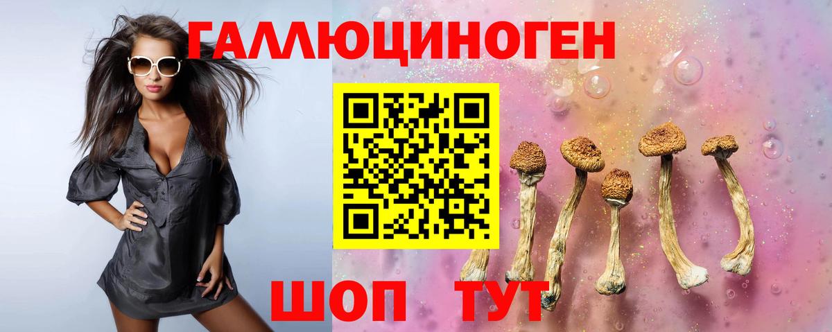 Псилоцибиновые грибы мицелий  Вход с VPN  Новодвинск 
